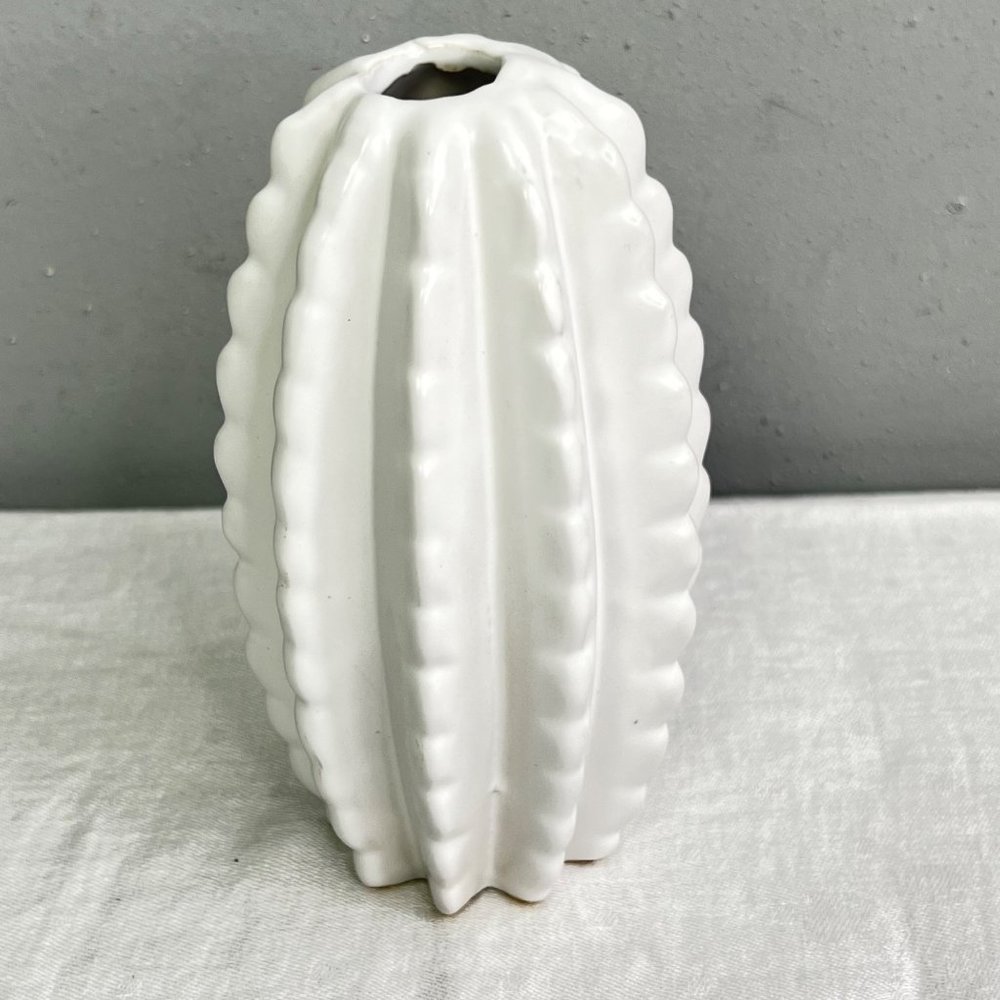 White Cactus Vase Rosemary Stem Creative Co-op Desert Succulent Decoration NWT - Picture 7 of 9